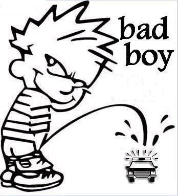 I Am The Bad Boy XD