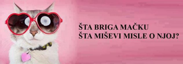 S'a je MiSevii,aa? :D
