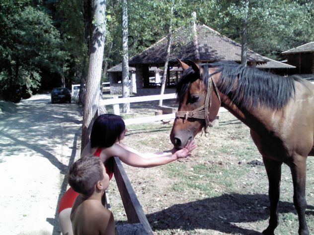 kako pokazati mladjem sinu da mu konj nece odgristi ruku :D