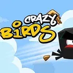 Crni ljuti ptica iz video igre Crazy Birds na plavom nebu sa oblacima